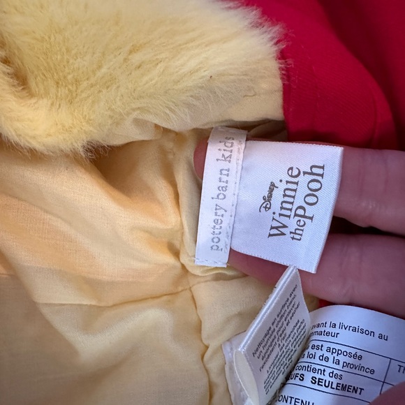 Winnie the Pooh costume - Picture 9 of 9